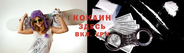 mdpv Арсеньев