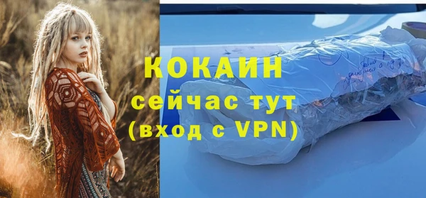 ПСИЛОЦИБИНОВЫЕ ГРИБЫ Медногорск