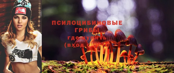 a pvp Мегион