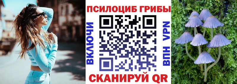 МЕГА зеркало  Питкяранта  Псилоцибиновые грибы Psilocybine cubensis 